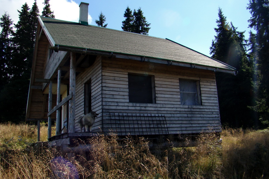 Martalúzka z Vikartoviec (Nízke Tatry)