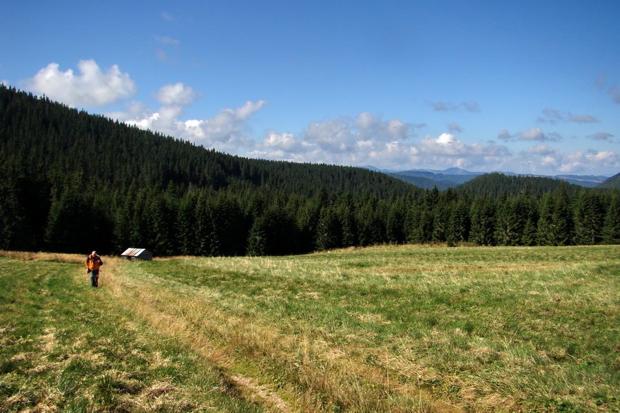 Martalúzka z Vikartoviec (Nízke Tatry)