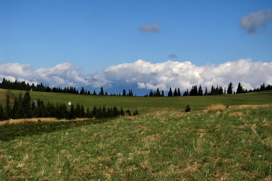 Martalúzka z Vikartoviec (Nízke Tatry)