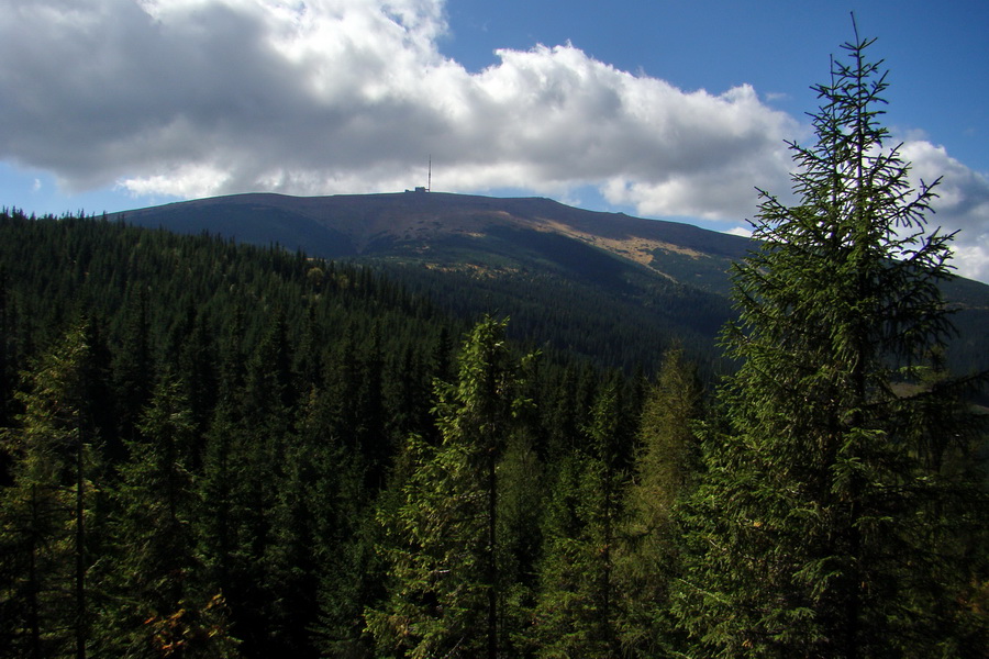 Martalúzka z Vikartoviec (Nízke Tatry)