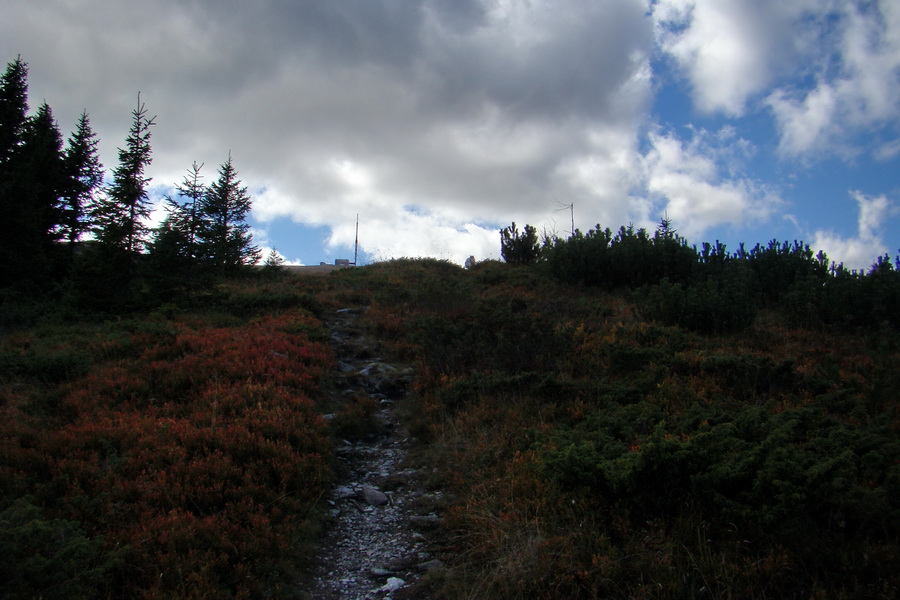 Martalúzka z Vikartoviec (Nízke Tatry)