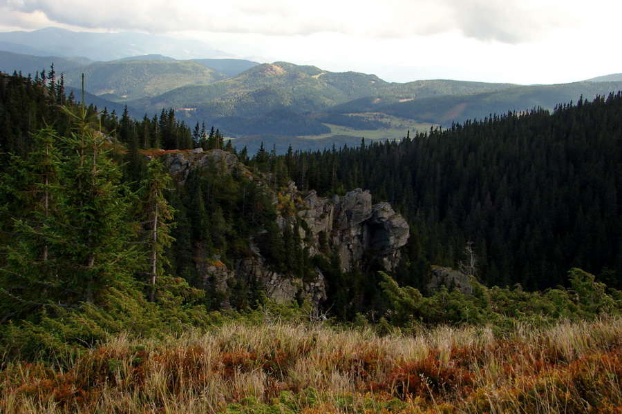 Martalúzka z Vikartoviec (Nízke Tatry)