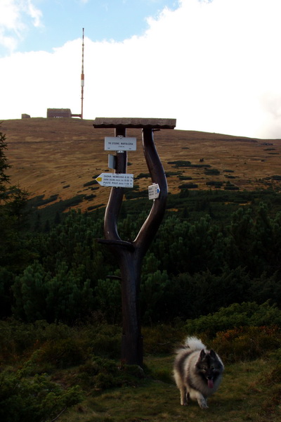 Martalúzka z Vikartoviec (Nízke Tatry)