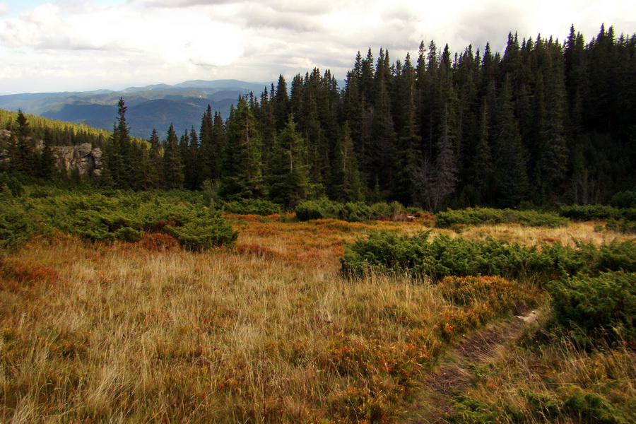 Martalúzka z Vikartoviec (Nízke Tatry)