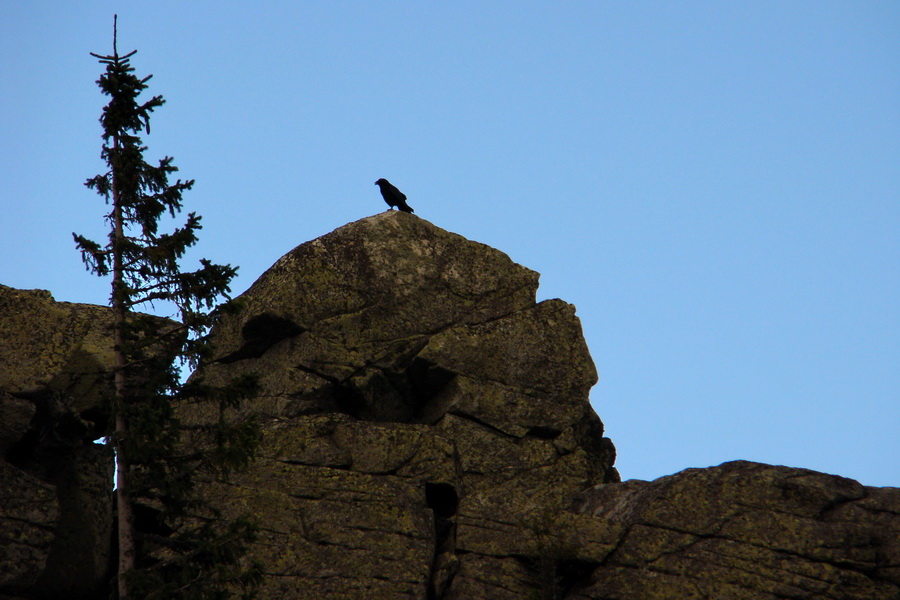 Martalúzka z Vikartoviec (Nízke Tatry)