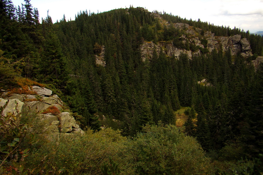 Martalúzka z Vikartoviec (Nízke Tatry)