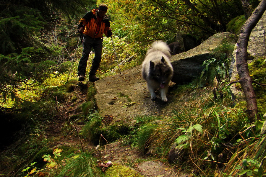 Martalúzka z Vikartoviec (Nízke Tatry)