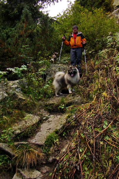 Martalúzka z Vikartoviec (Nízke Tatry)