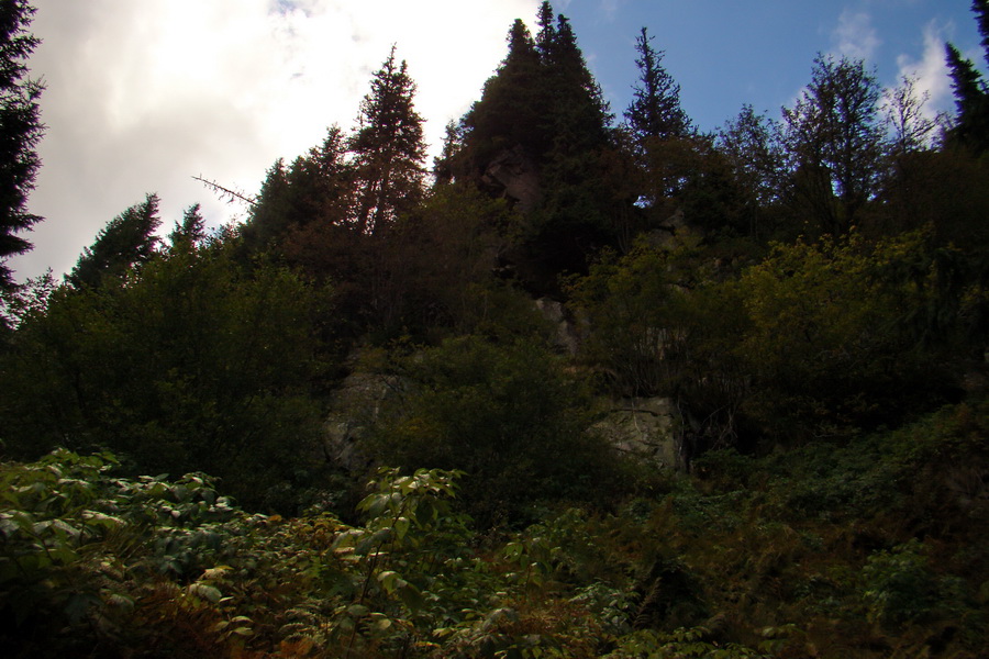 Martalúzka z Vikartoviec (Nízke Tatry)