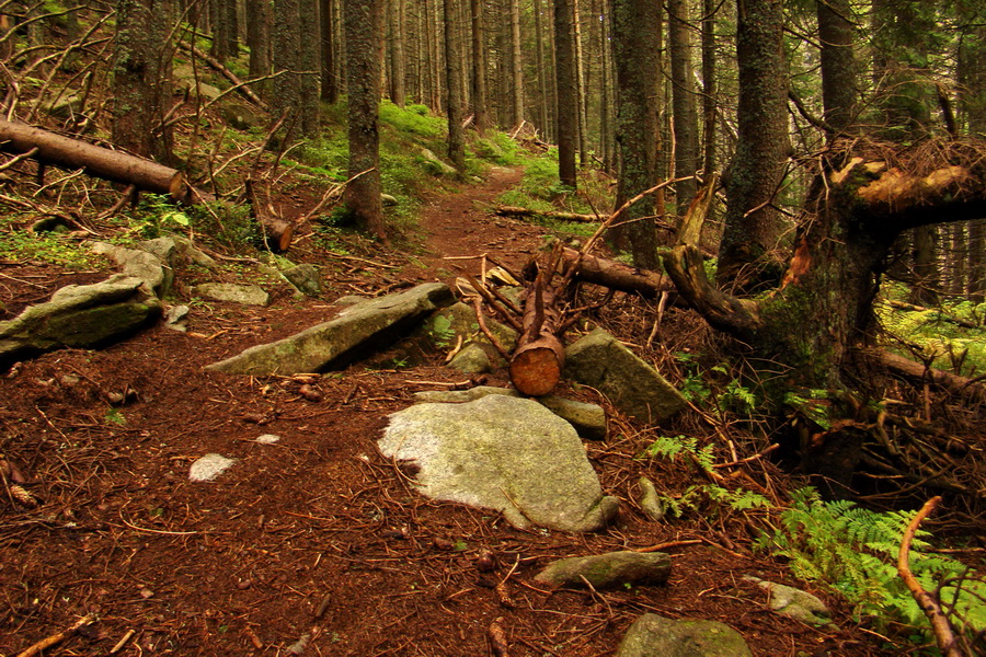 Martalúzka z Vikartoviec (Nízke Tatry)