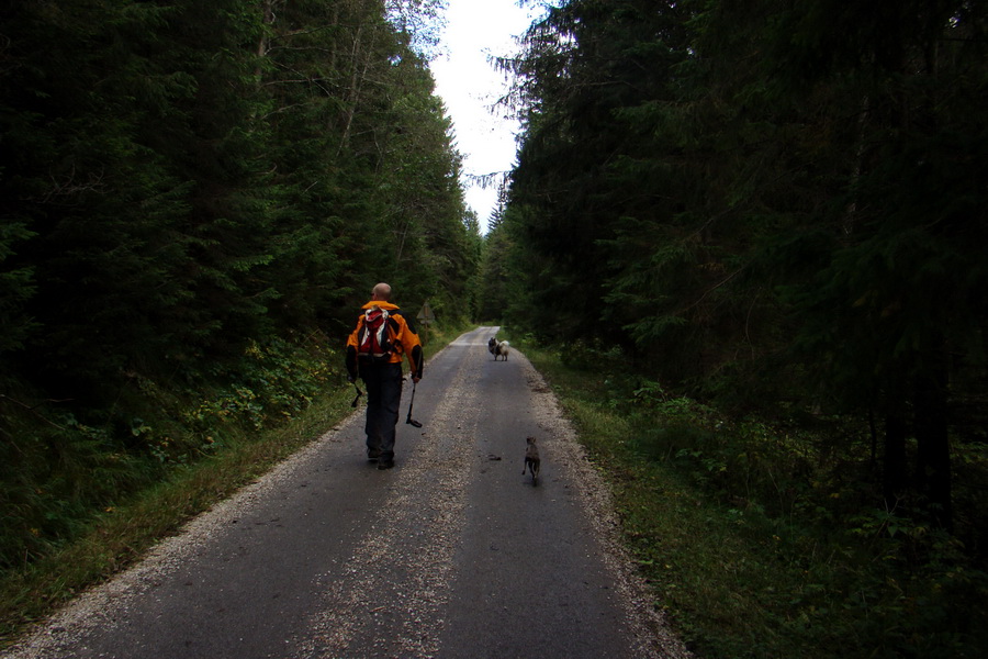 Martalúzka z Vikartoviec (Nízke Tatry)