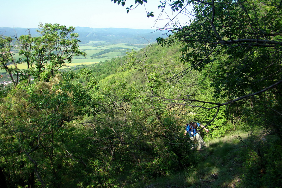 Mútna studňa (Slovenský kras)