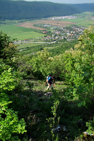 Mútna studňa (Slovenský kras)