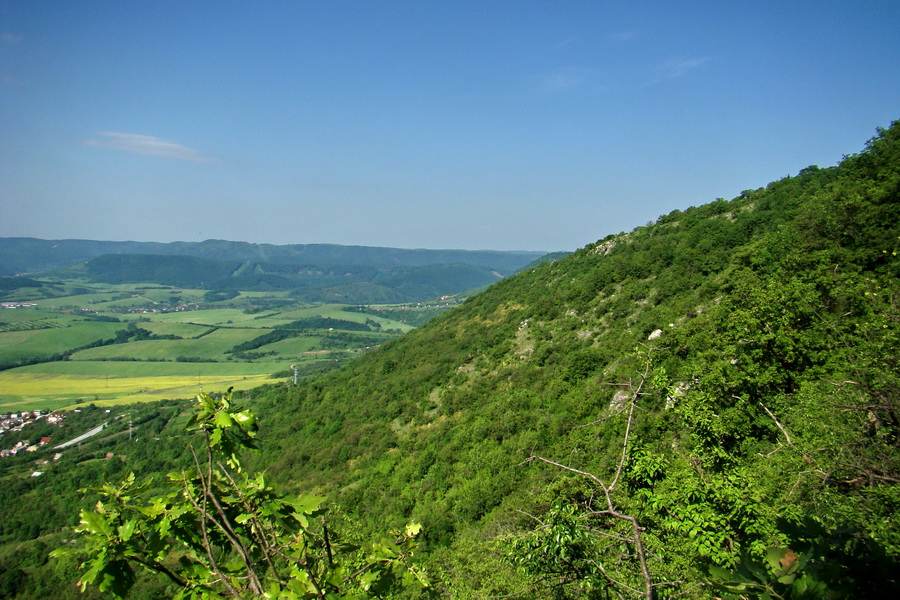 Mútna studňa (Slovenský kras)