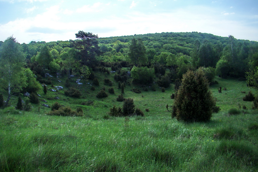 Mútna studňa (Slovenský kras)