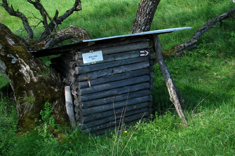 Mútna studňa (Slovenský kras)