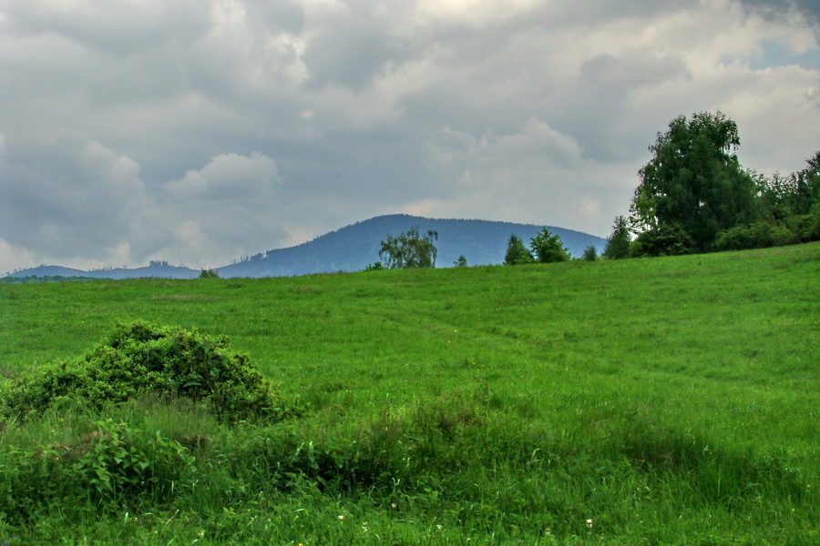 Mútna studňa (Slovenský kras)