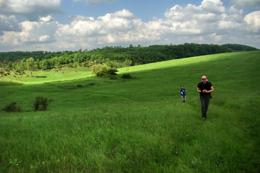 Mútna studňa (Slovenský kras)