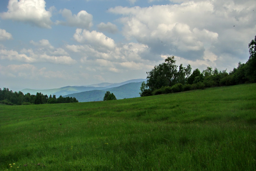 Mútna studňa (Slovenský kras)