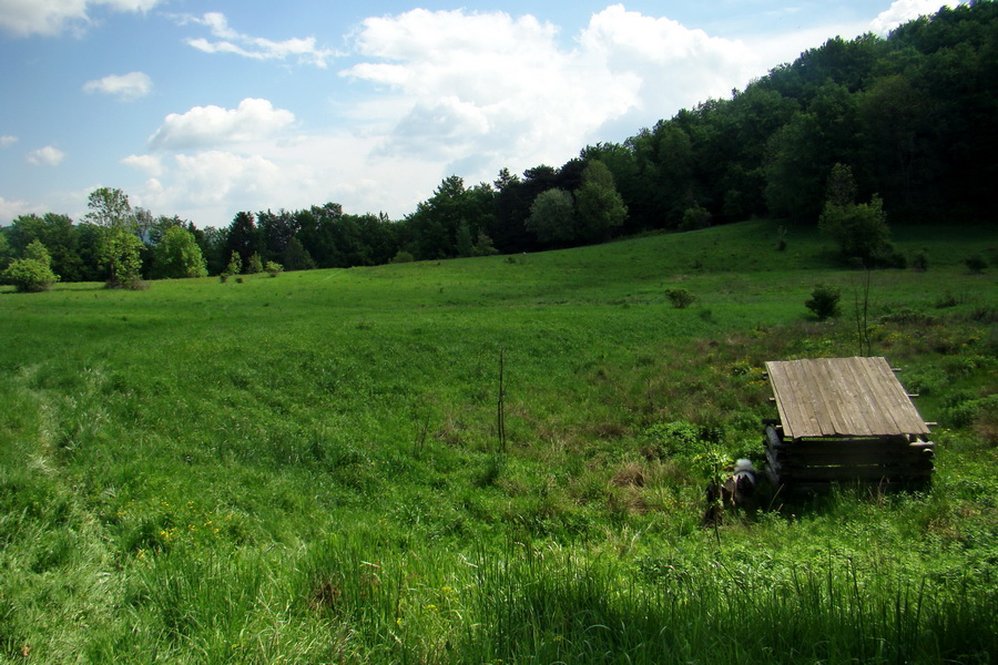 Mútna studňa (Slovenský kras)