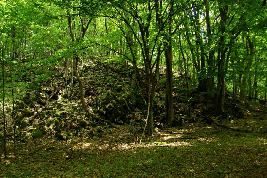 Mútna studňa (Slovenský kras)