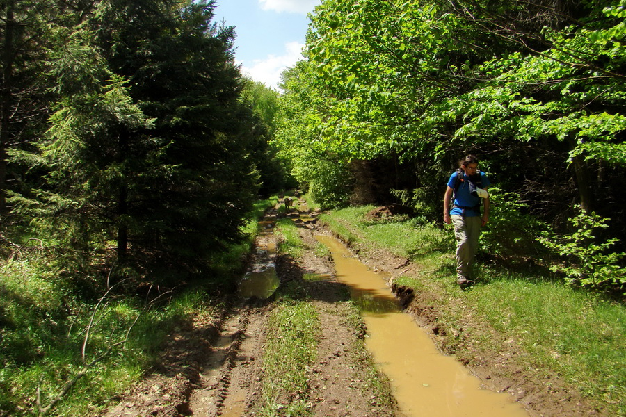 Mútna studňa (Slovenský kras)