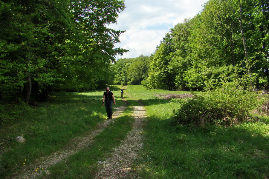 Mútna studňa (Slovenský kras)