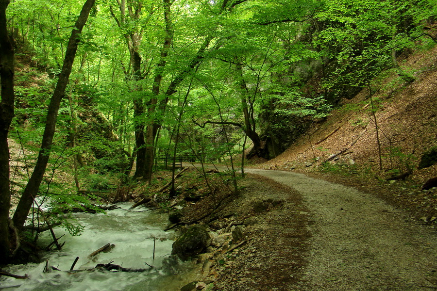 Mútna studňa (Slovenský kras)