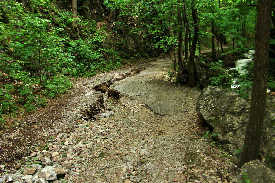 Mútna studňa (Slovenský kras)