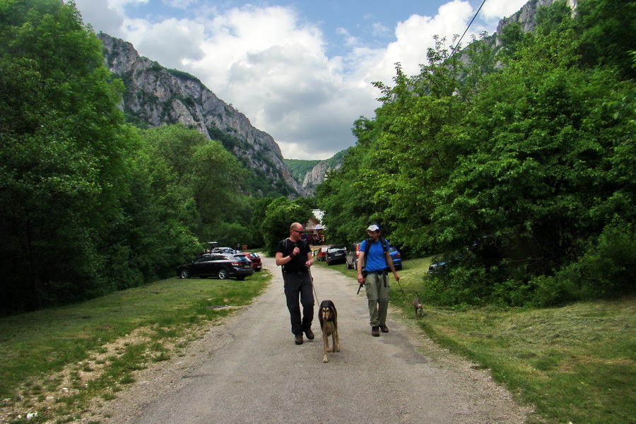 Mútna studňa (Slovenský kras)