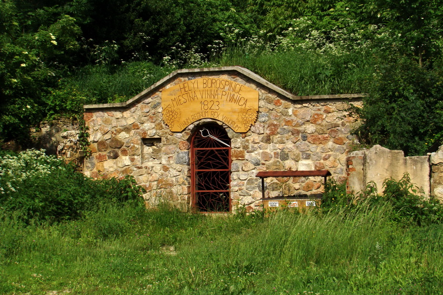 Mútna studňa (Slovenský kras)