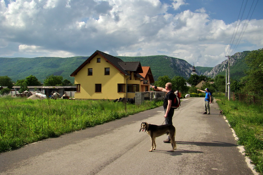 Mútna studňa (Slovenský kras)