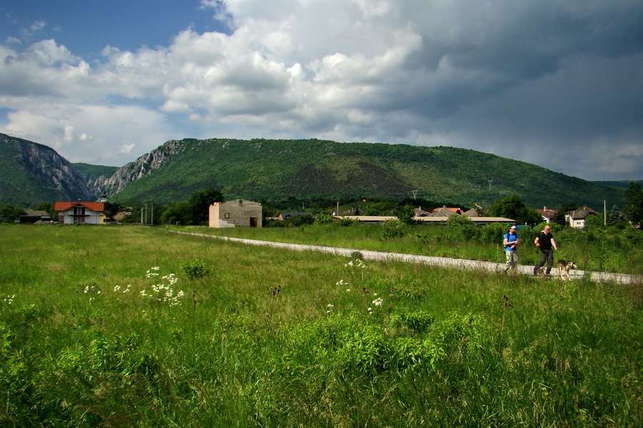 Mútna studňa (Slovenský kras)