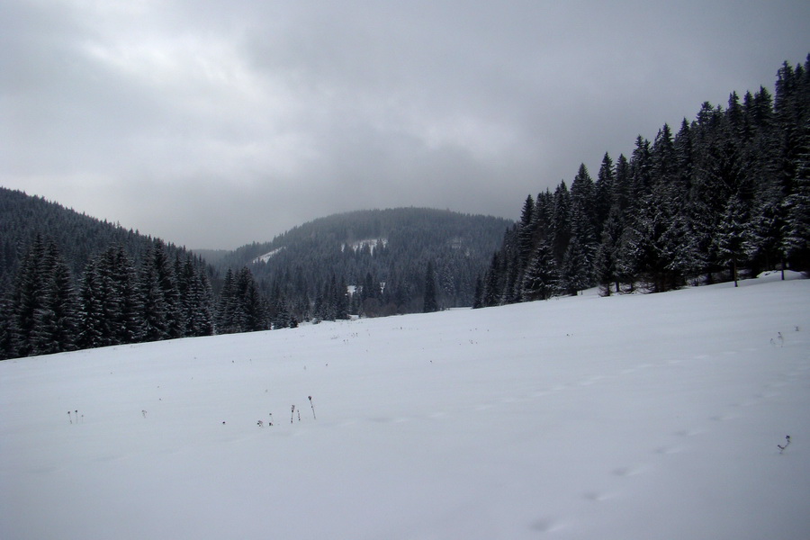 Pod Hanesovou II. (Slovenský raj)