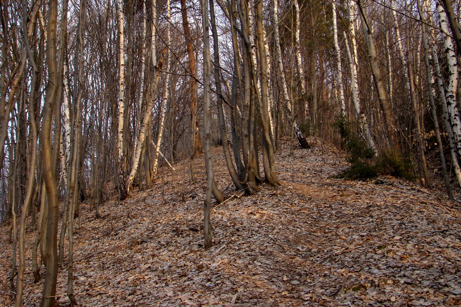 Roháčka z Margecian (Čierna hora)