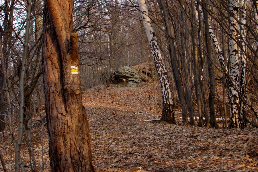 Roháčka z Margecian (Čierna hora)