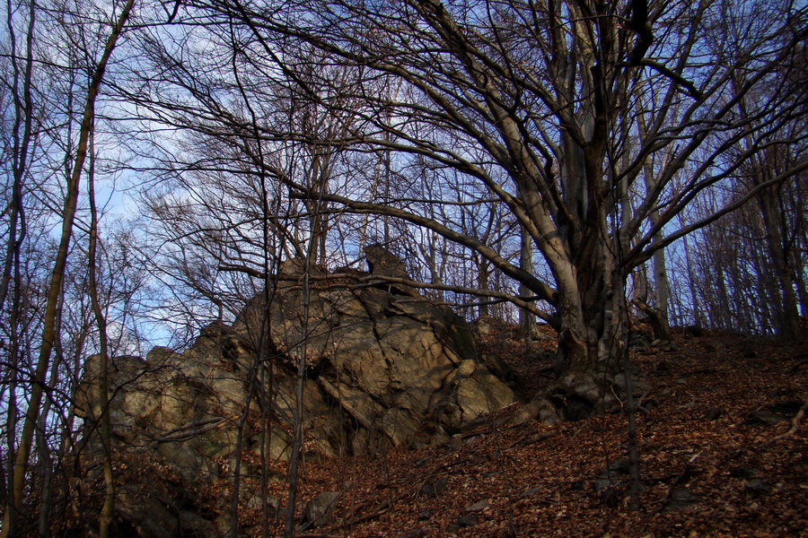 Roháčka z Margecian (Čierna hora)