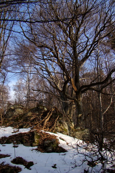 Roháčka z Margecian (Čierna hora)