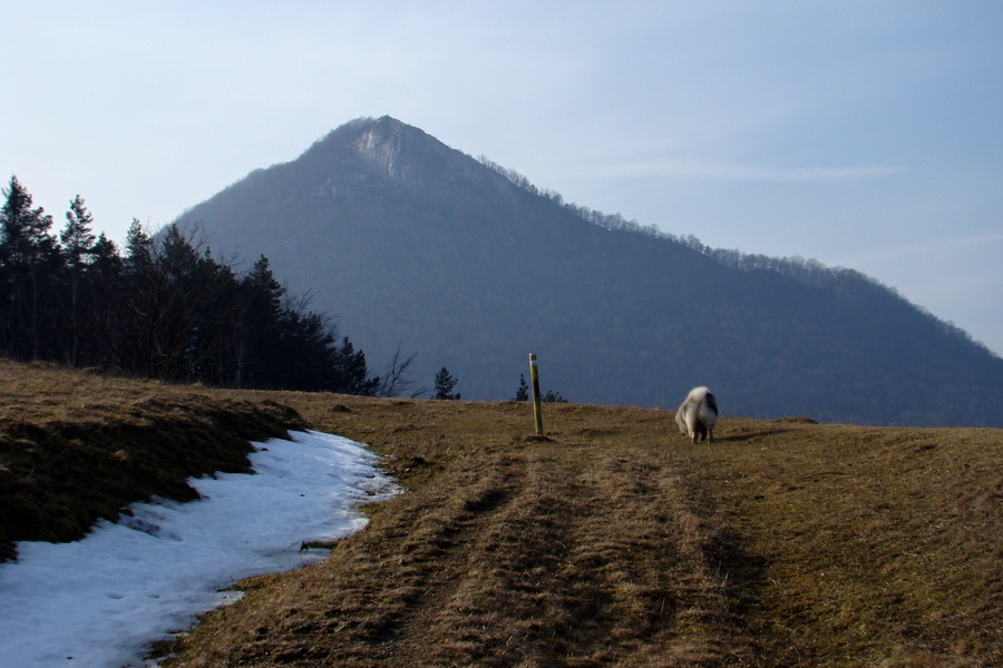 Sivec z Ružína (Čierna hora)