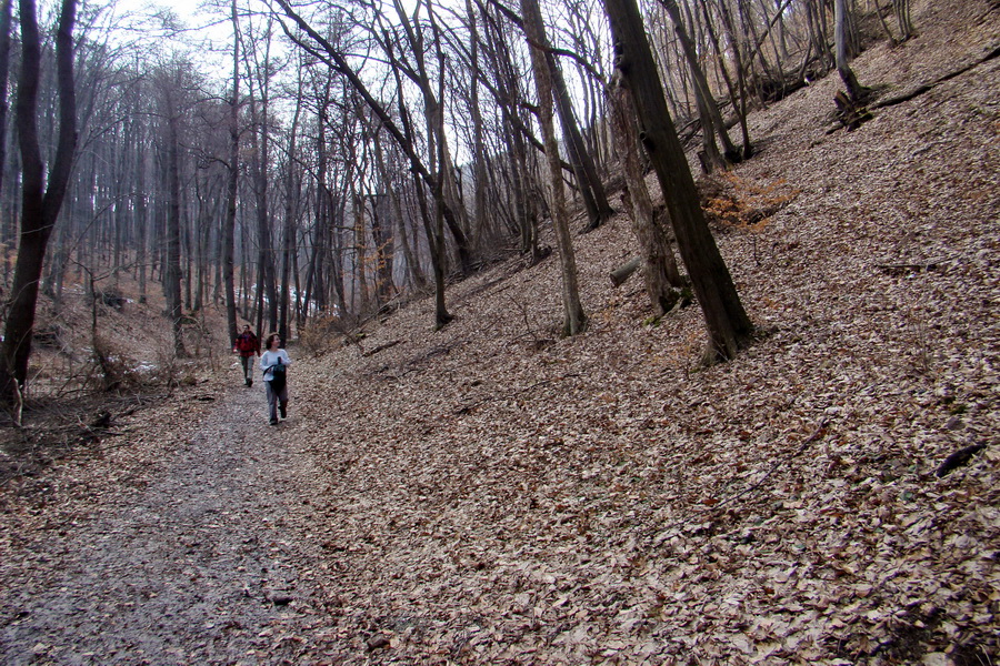 Sivec z Ružína (Čierna hora)