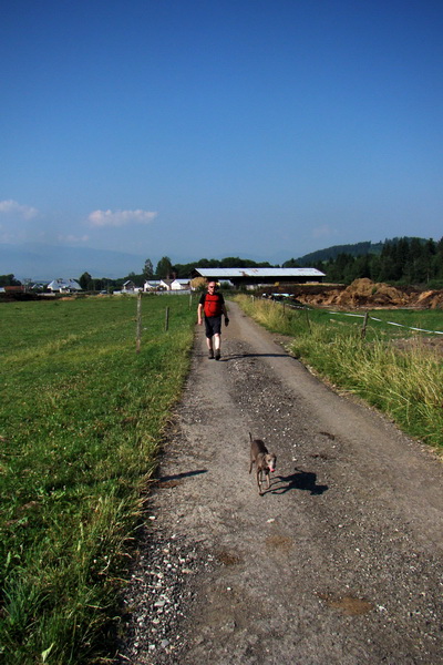 Sivý vrch z Jalovca (Západné Tatry)