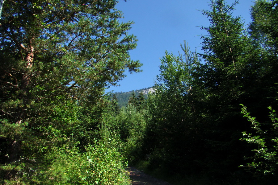 Sivý vrch z Jalovca (Západné Tatry)