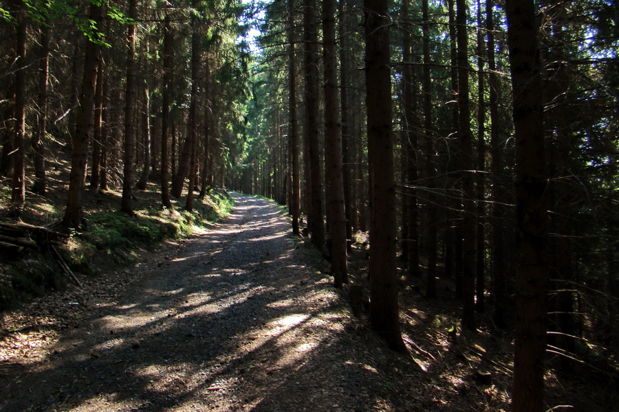 Sivý vrch z Jalovca (Západné Tatry)