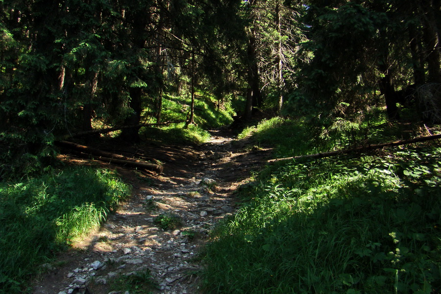 Sivý vrch z Jalovca (Západné Tatry)