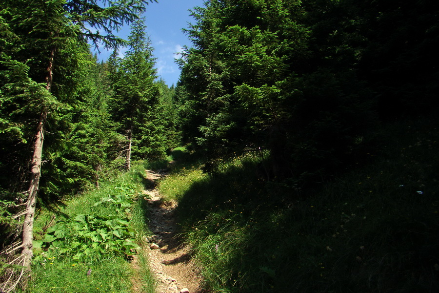 Sivý vrch z Jalovca (Západné Tatry)