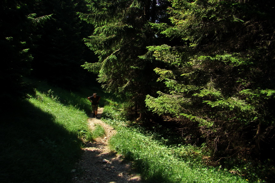 Sivý vrch z Jalovca (Západné Tatry)