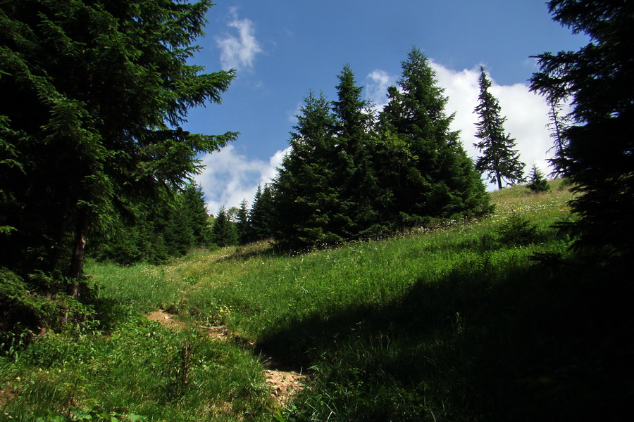 Sivý vrch z Jalovca (Západné Tatry)