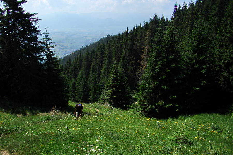 Sivý vrch z Jalovca (Západné Tatry)