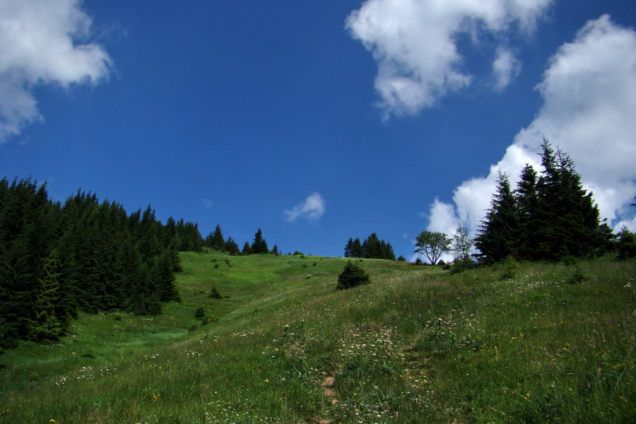 Sivý vrch z Jalovca (Západné Tatry)