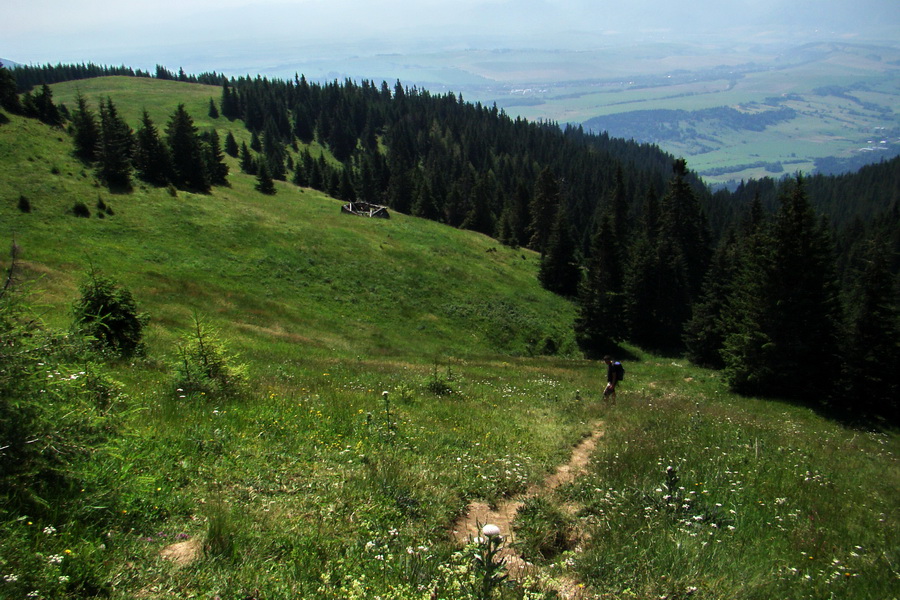 Sivý vrch z Jalovca (Západné Tatry)